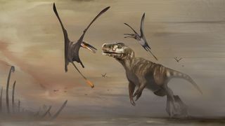During its lifetime about 170 million years ago, Dearc sgiathanach would have lived alongside meat-eating theropod dinosaurs.