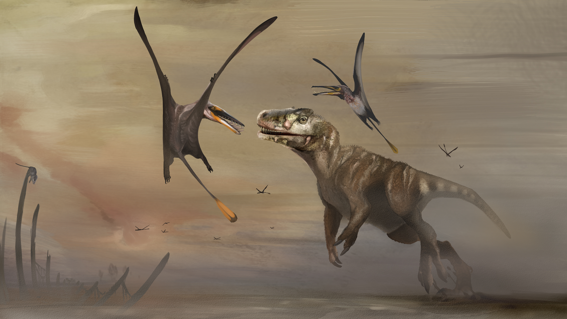 Während seines Lebens vor etwa 170 Millionen Jahren hätte Dearc sgiathanach neben fleischfressenden theropoden Dinosauriern gelebt.