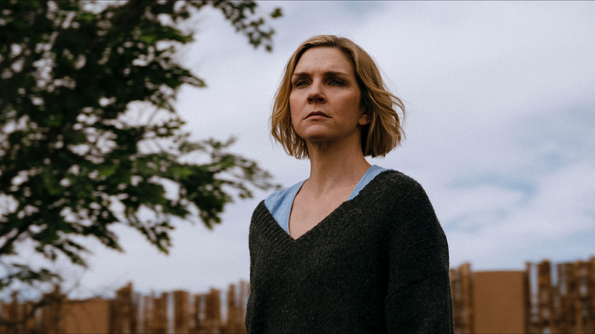Rhea Seehorn stars in 'Pluribus' (2025), a TV series created by Vince Gilligan 