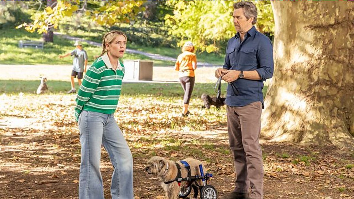 How to watch Colin From Accounts season 3 online for FREE – stream final run of acclaimed sitcom from anywhere