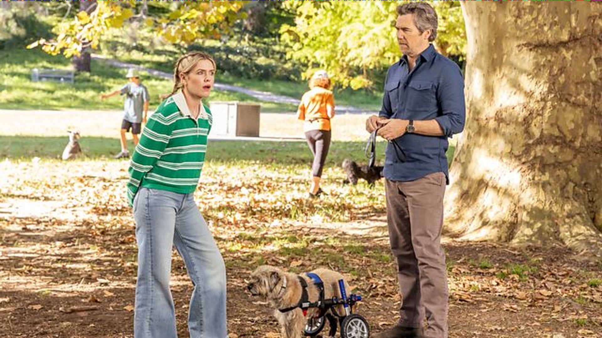 How to watch Colin From Accounts season 3 online for FREE…