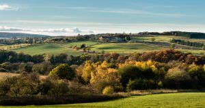 The Derwent Valley, Gibside, County Durham