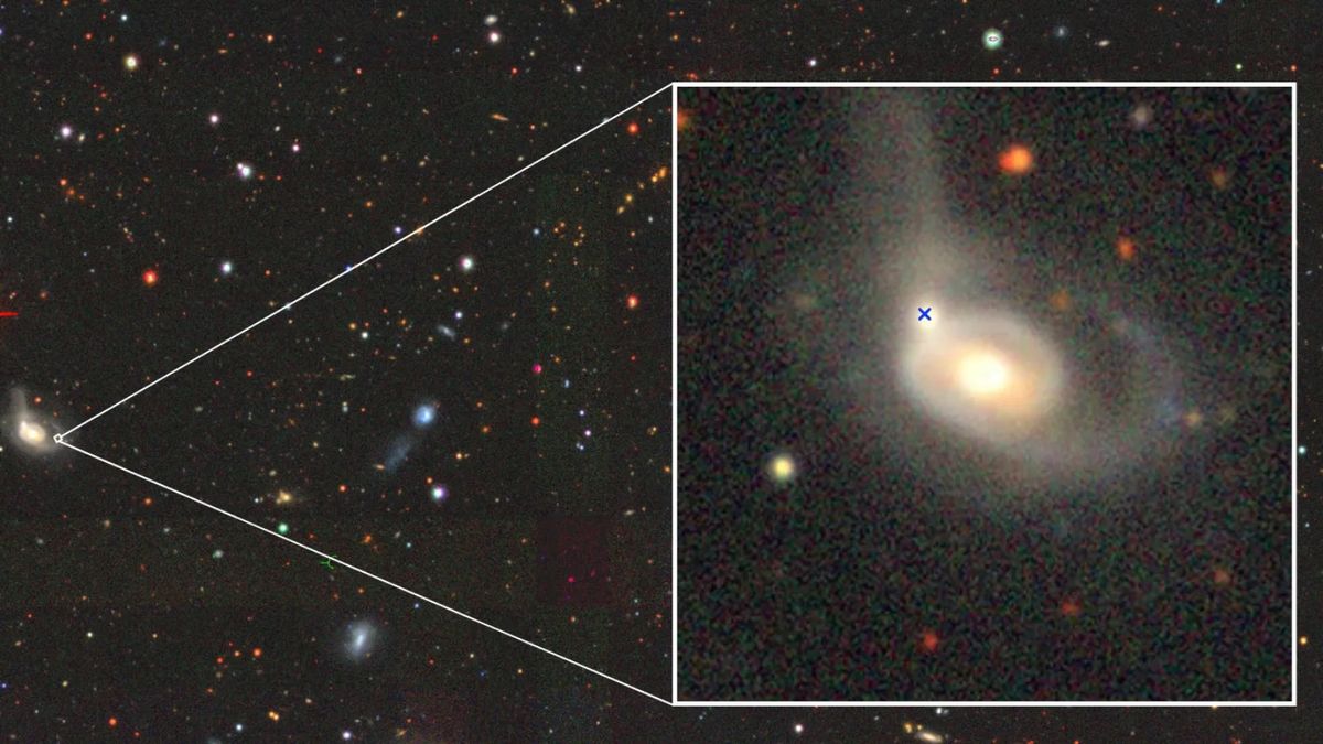 Astronomers discover black hole ripping a star apart inside a galactic collision. 'It is a peculiar event'
