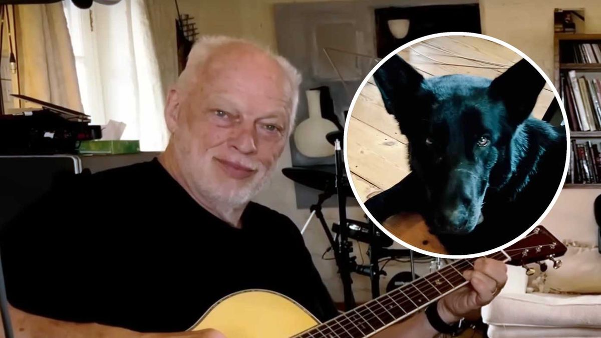 David Gilmour in rehearsal and (inset) the dog