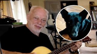 David Gilmour in rehearsal and (inset) the dog