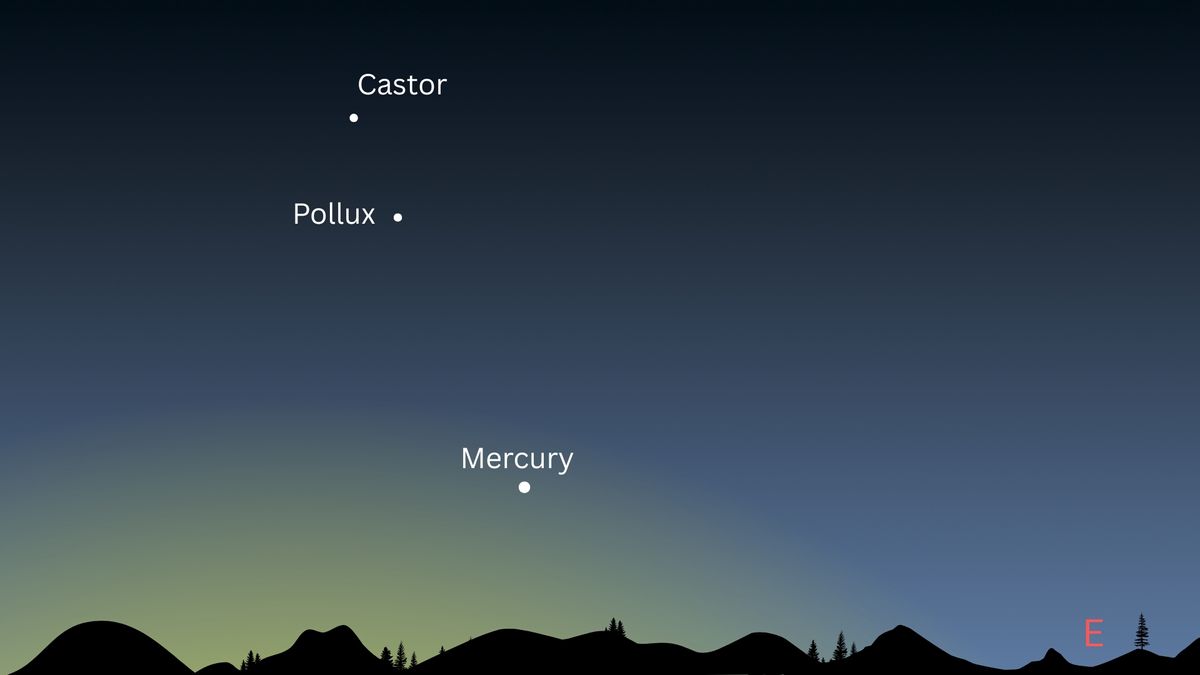 night sky graphic showing predawn sky with castor top left, then to the lower right is pollux and then farther down to the right is Mercury shining low above the eastern horizon.