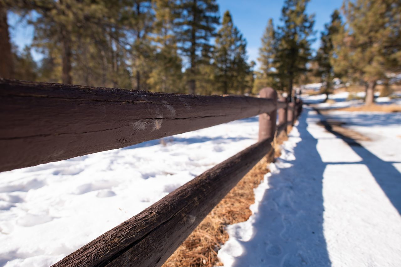 Nikon D780 review