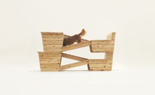 Architecture for Long-Bodied-Short-Legged-Dog by Atelier Bow-Wow