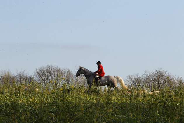 Hursley Hambledon Hunt new years eve 31 12 2014