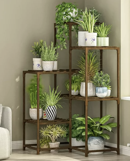 7 Houseplant Trends For 2024 The Plants Pots And Placements That   KXsBL33yh57w3qvb4iyC7G 415 80 