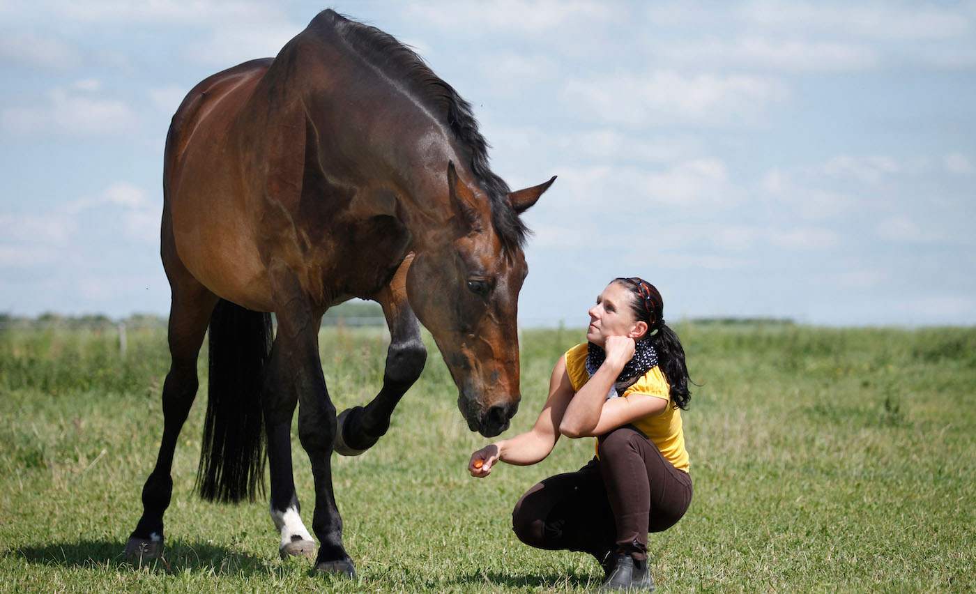 Woman praising horse from ground.