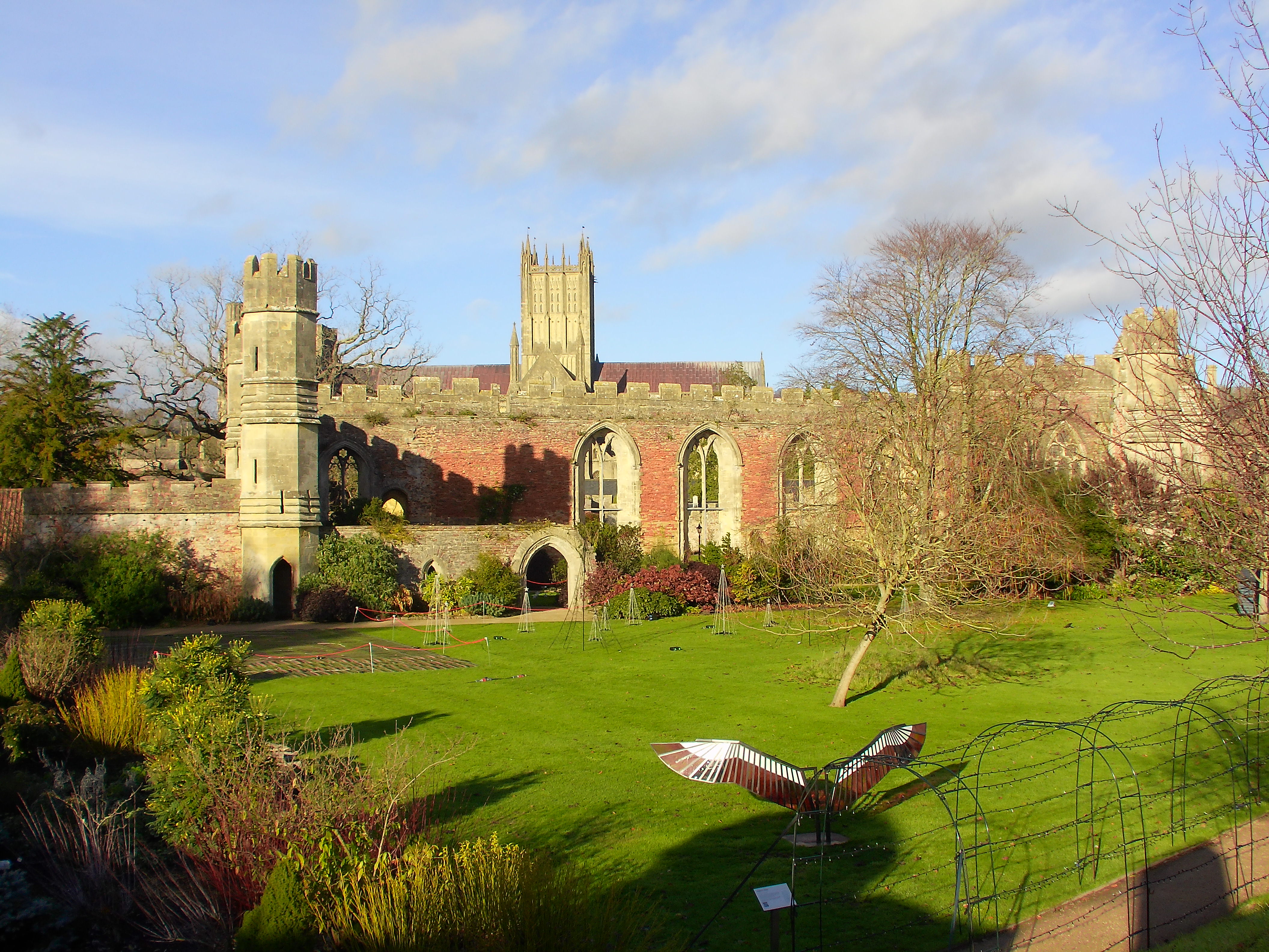 Yashica City 200 example shot