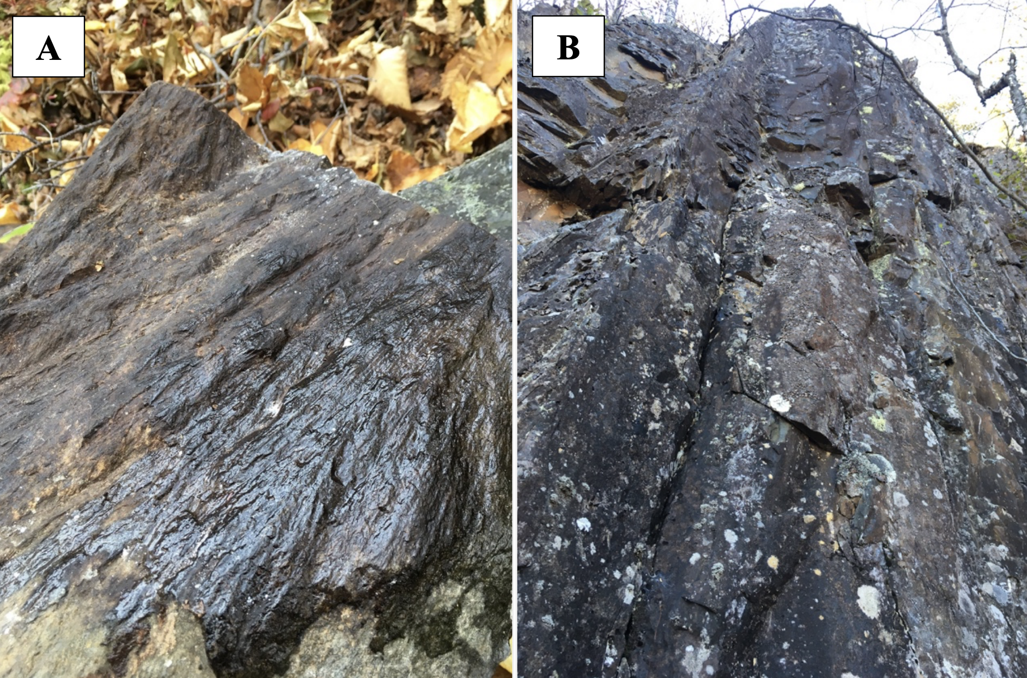 A) Shatter cone at the center of the structure. B) melt rock 4 km (2.5 miles) west of the structure center