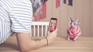 How to make your dog (or cat) Instagram famous