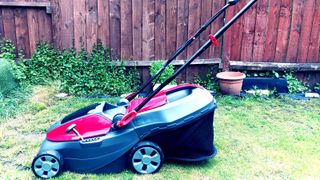 Mountfield lawnmower being used to cut lawn in small garden