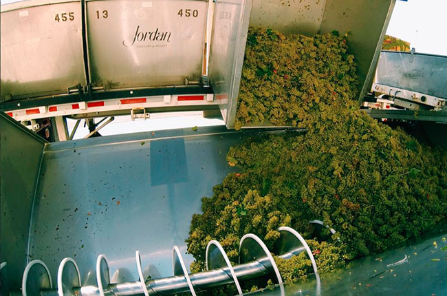 Chardonnay grapes being processed at Jordan Winery, Alexander Valley