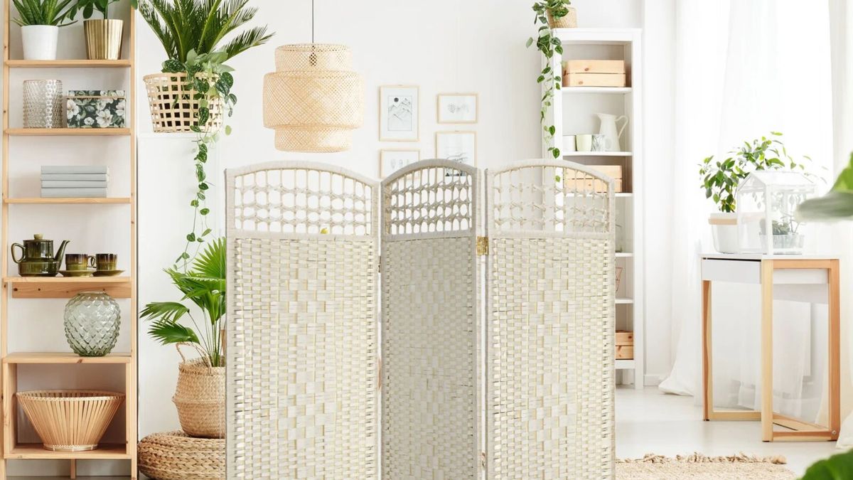 9 folding room dividers for renters and roomies who want their own