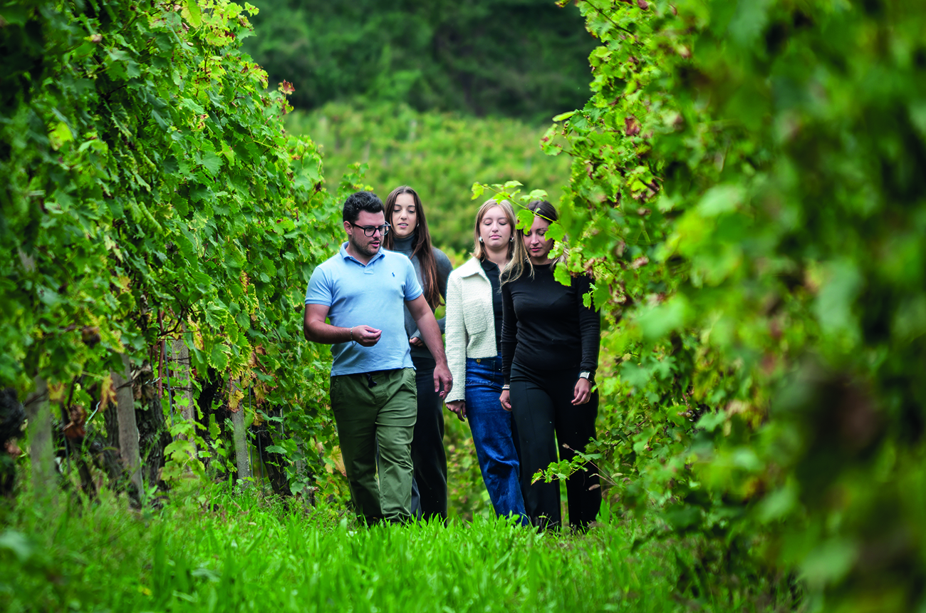 four people walking through a vineyard in Italy