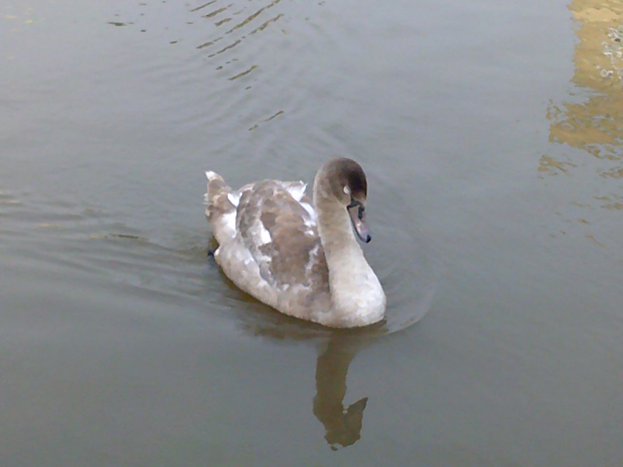 A photo taken on an AgfaPhoto Realishot DC5500 compact camera