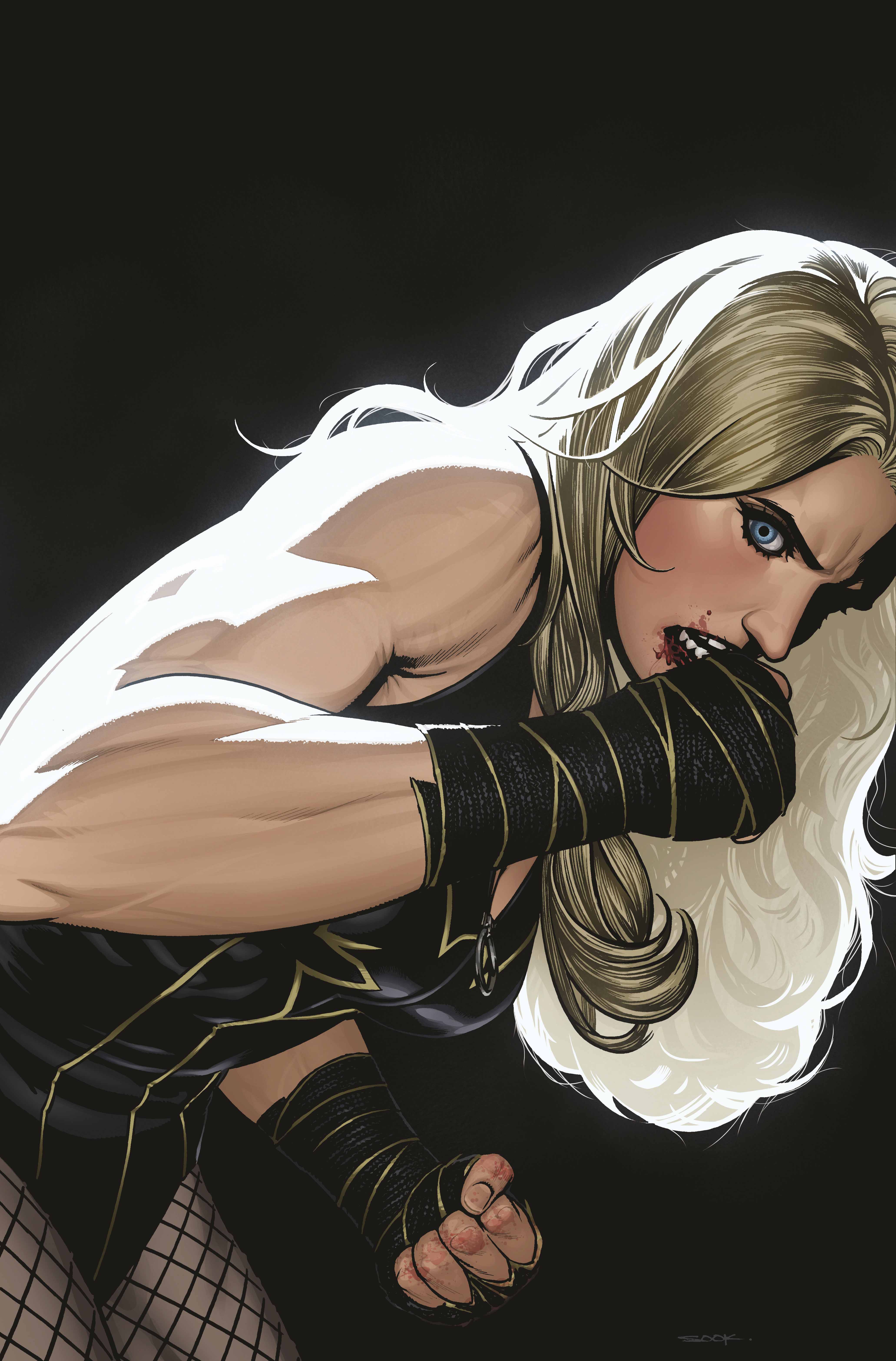 Black Canary must fight to prove that she is the Best of the Best in a new series from Wonder Woman writer Tom King