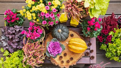 This Cozy Fall Container Recipe Smells Exactly Like Cinnamom ...