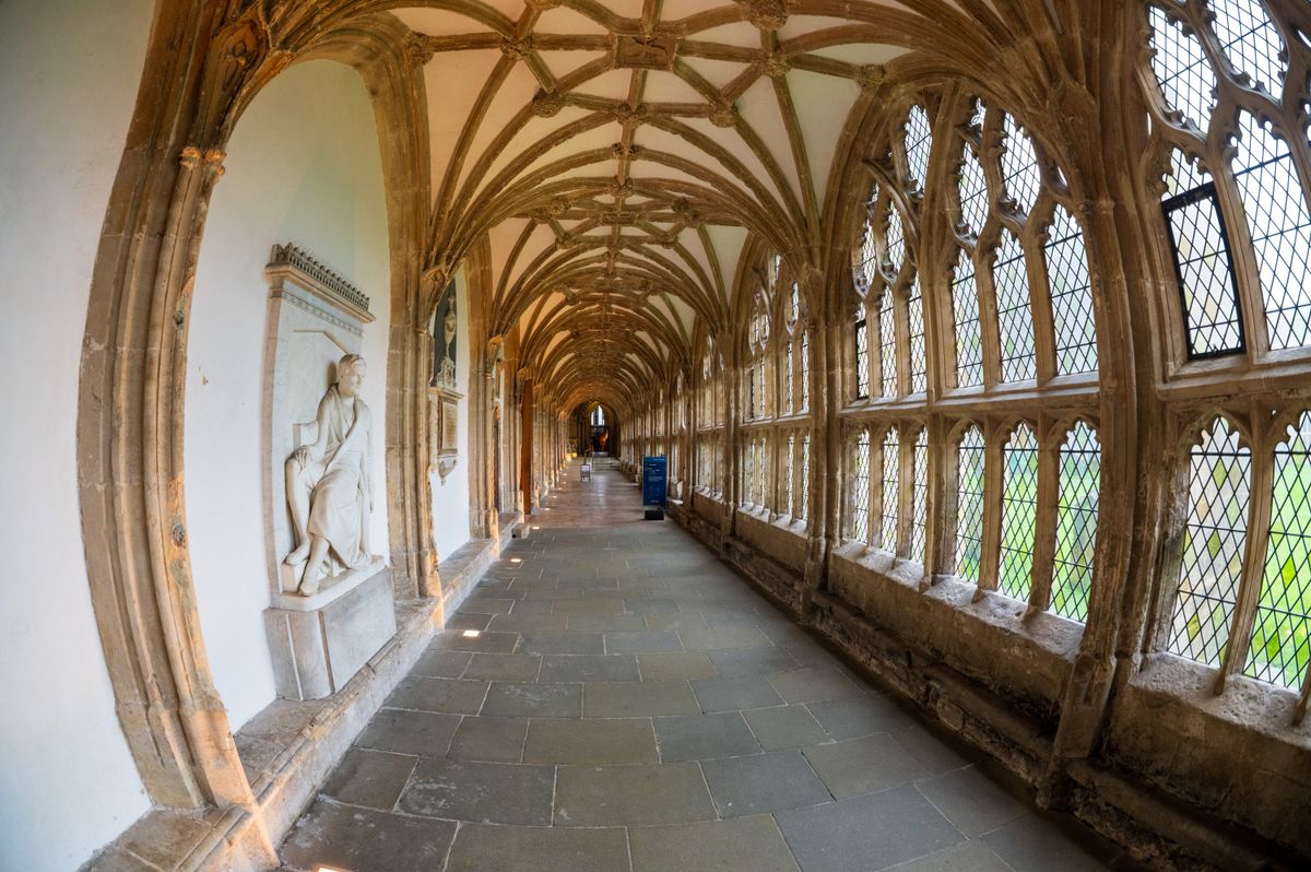 Sigma 15mm F1.4 DG DN Diagonal Fisheye Art