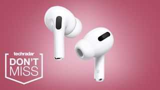 the apple airpods pro