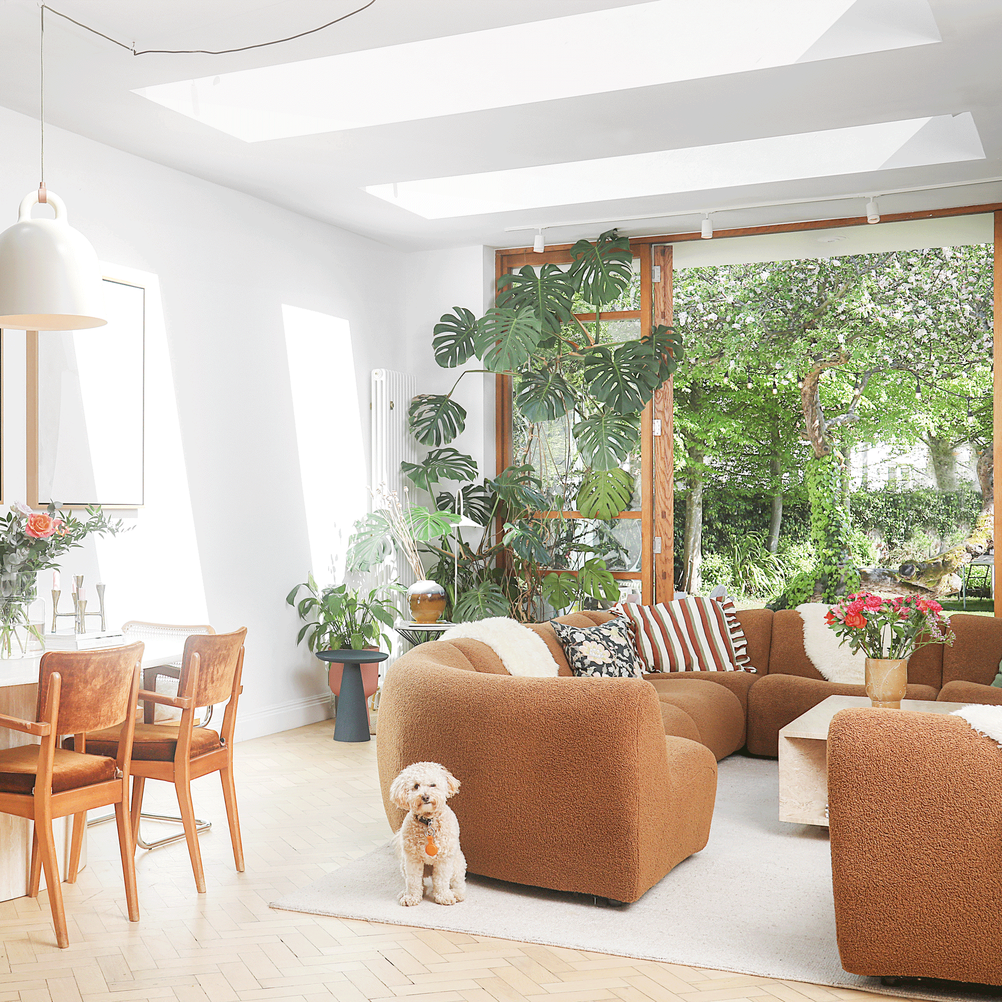 a neutral open plan living dining room with curved sofas a table and chairs leading into a garden 