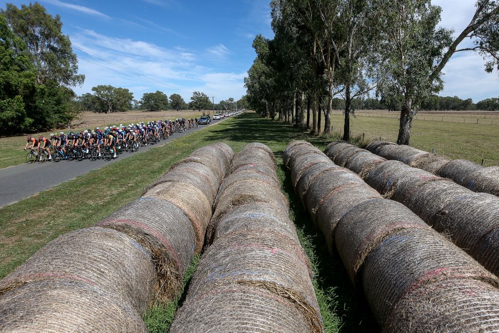 Old hay bales lined the roadside