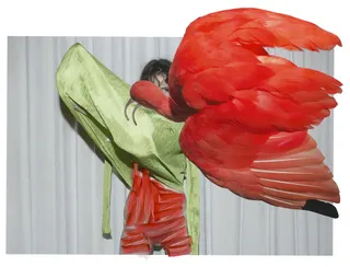 Viviane Sassen PHOSPHOR: Art & Fashion