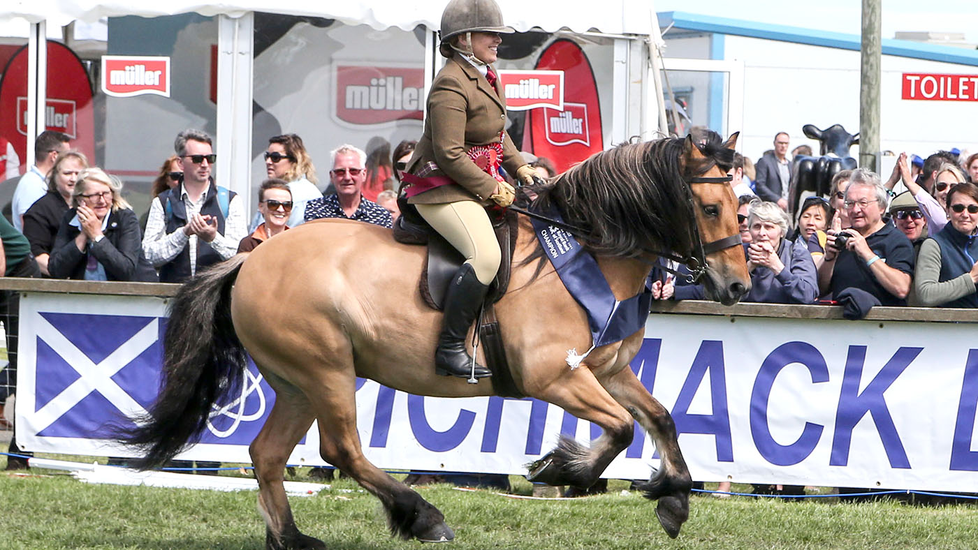 HEATHER JOCK OF FOURMERK Champion Ridden Highalnd THE ROYAL HIGHLAND SHOW 2018 22/6/18 Photograph by Grossick Racing Photography 0771 046 1723