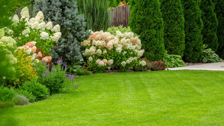 lawn care: lawn with borders