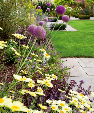 Flower garden border with purple and yellow flowers