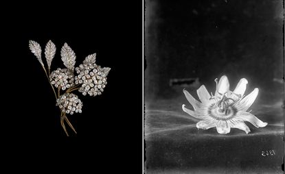 Brooch and Chaumet archives