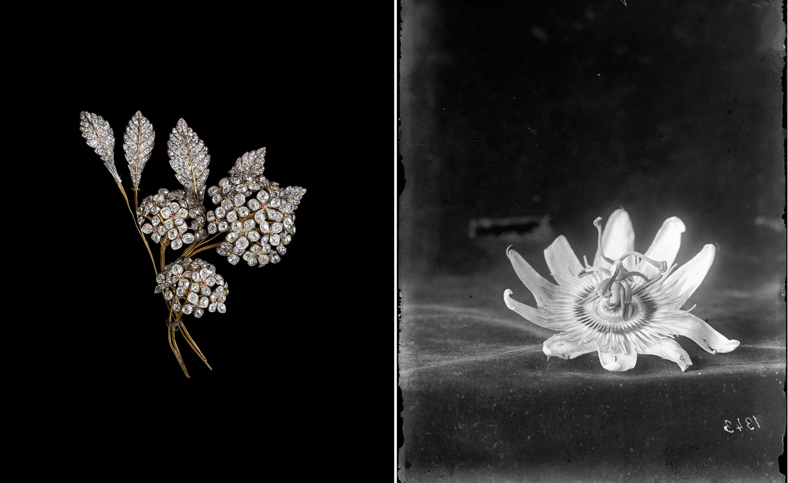 Chaumet's Végétal Exhibition Celebrates the Beauty of Nature