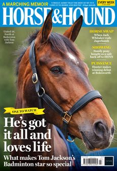 cover of Horse & Hound featuring a head shot of bay event horse United 36