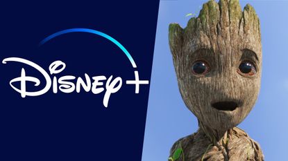 Disney Plus logo / I am Groot