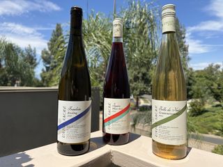 Three bottles of Union Sacré wines on a ledge outside on a sunny day