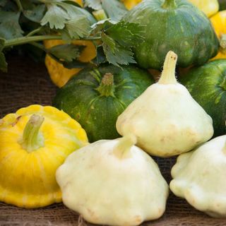 Freshly harvested yellow, green and white patty pan summer squashes