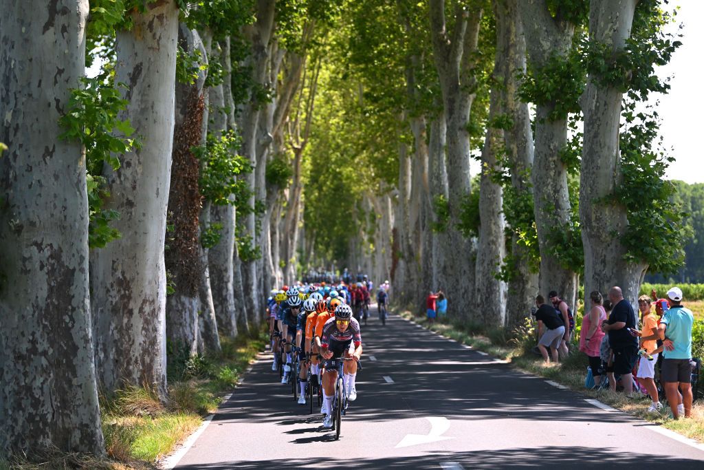 NIMES FRANCE JULY 16 Silvan Dillier of Switzerland and Team Alpecin Deceuninck leads the peloton during the 111th Tour de France 2024 Stage 16 a 1886km stage from Gruissan to Nimes UCIWT on July 16 2024 in Nimes France Photo by Dario BelingheriGetty Images