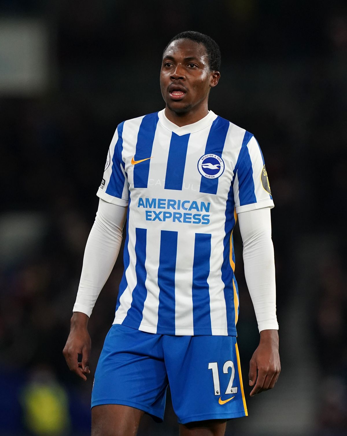 Brighton and Hove Albion v Brentford – Premier League – AMEX Stadium