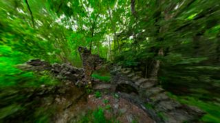 Shutterstock NeRF AI; a forest