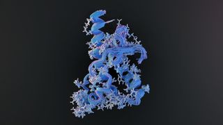 A 3D model of a blue folded protein, looking like a series of coils and knots in front of a dark background.