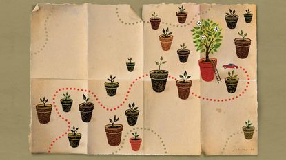 Illustration of several potted plants from seedlings to tree