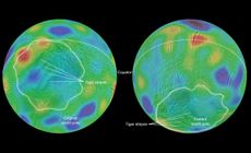 Image data from NASA's Cassini spacecraft shows evidence that Saturn's moon Enceladus may have tipped over, reorienting itself so that terrain closer to its original equator was relocated to the poles. This phenomenon is called "true polar wander."