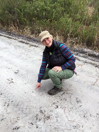 Third Osceola Meteorite Find