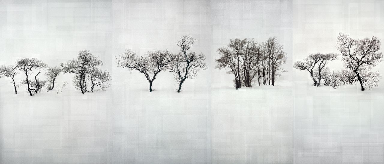 Creative winner: Florian Ruiz, France