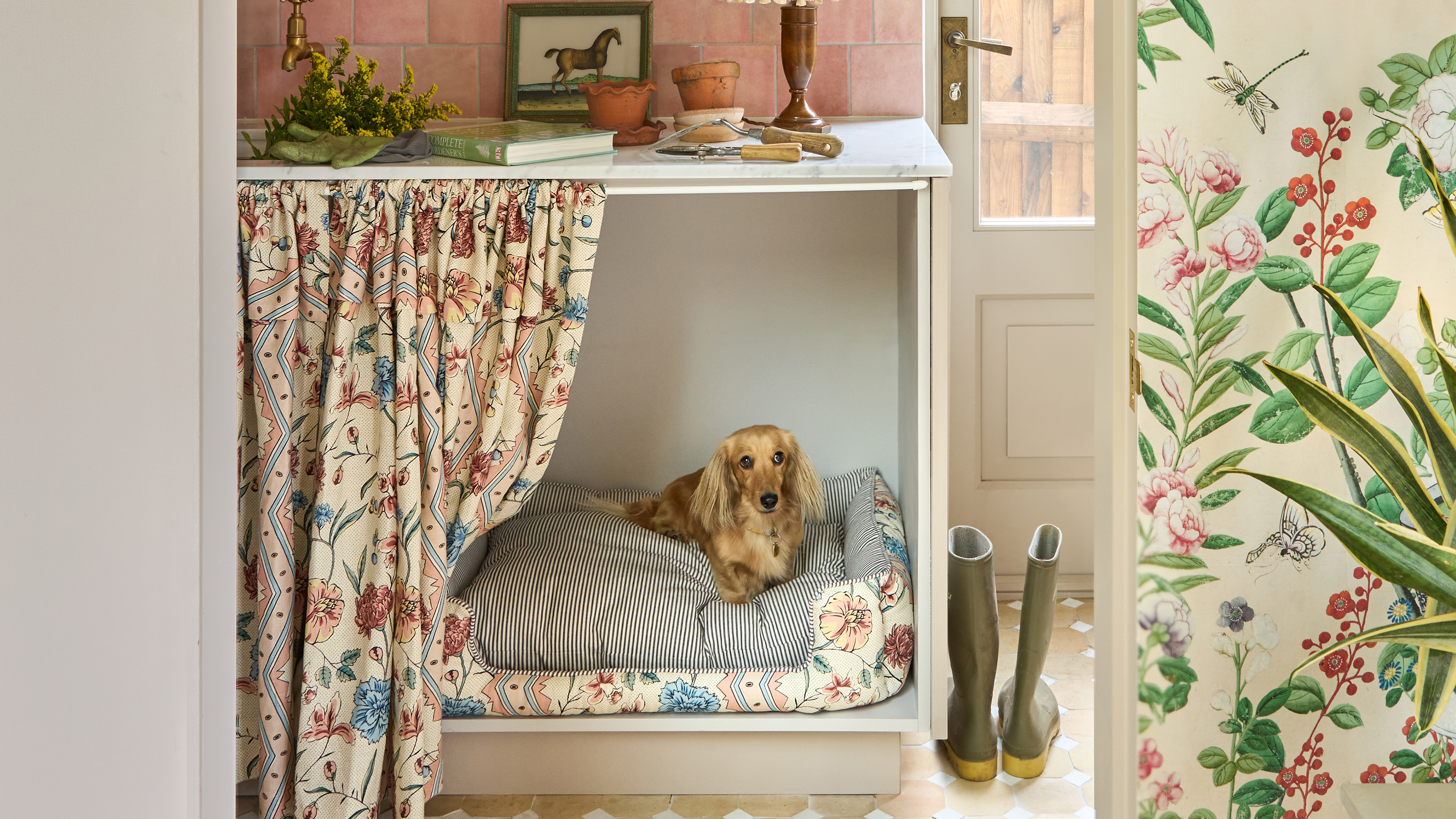 pink pet pantry room