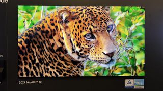 Samsung QN900D at CES 2024, showing a picture of a leopard on the screen
