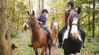 A group of equestrians riding horses in the woods